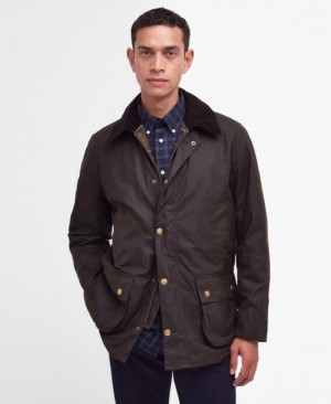 Barbour Ashby Masline Verzi | EONL9044