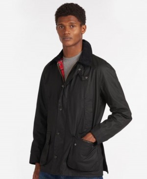 Barbour Ashby Negrii | HZJI1633