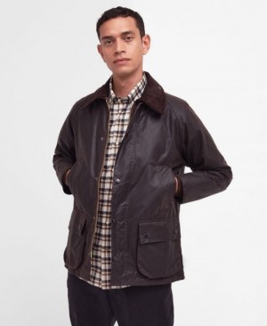 Barbour Bedale Ciocolata | FPCT7468