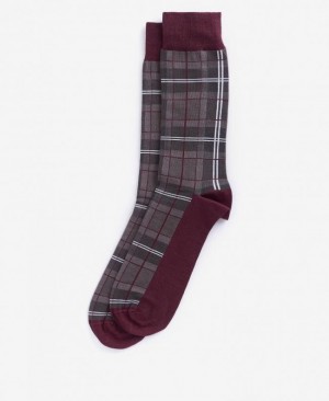 Barbour Blyth Negrii | AFCP8302