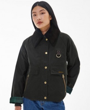 Barbour Catton Spey Negrii | VANG6065