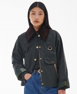 Barbour Catton Spey Verzi | JHKL8675