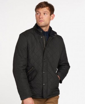 Barbour Powell Negrii | CRHA4205