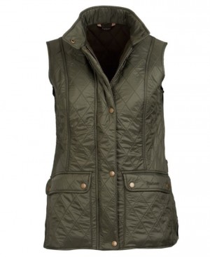 Barbour Wray Gilet Verzi | TUJV4541