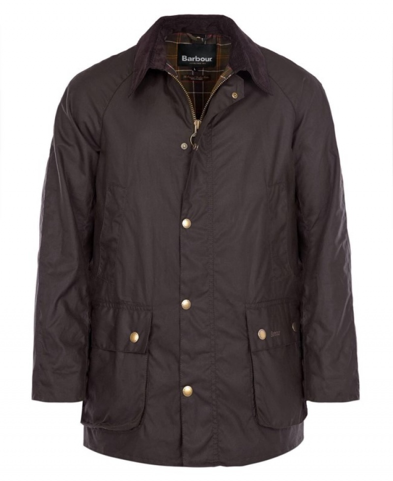 Barbour Ashby Masline Verzi | EONL9044
