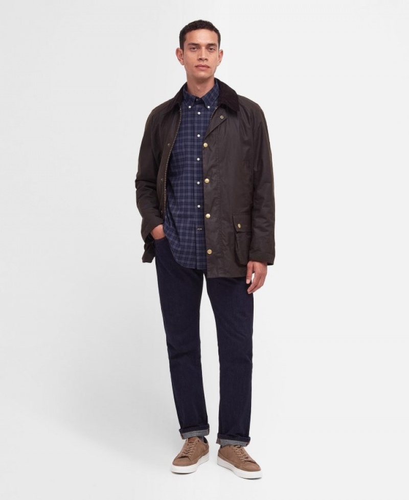 Barbour Ashby Masline Verzi | EONL9044