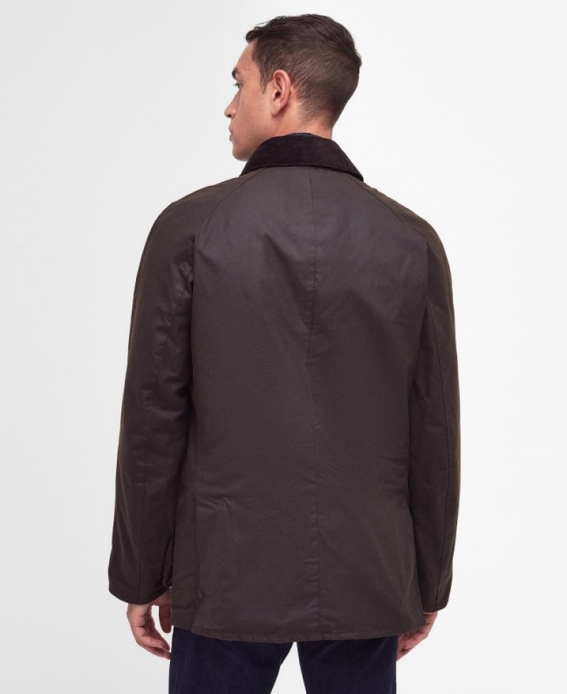 Barbour Ashby Masline Verzi | EONL9044