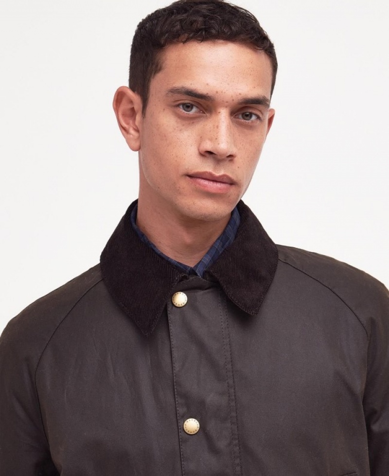 Barbour Ashby Masline Verzi | EONL9044