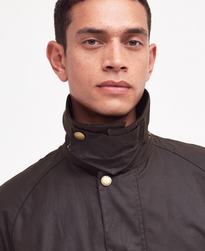 Barbour Ashby Masline Verzi | EONL9044