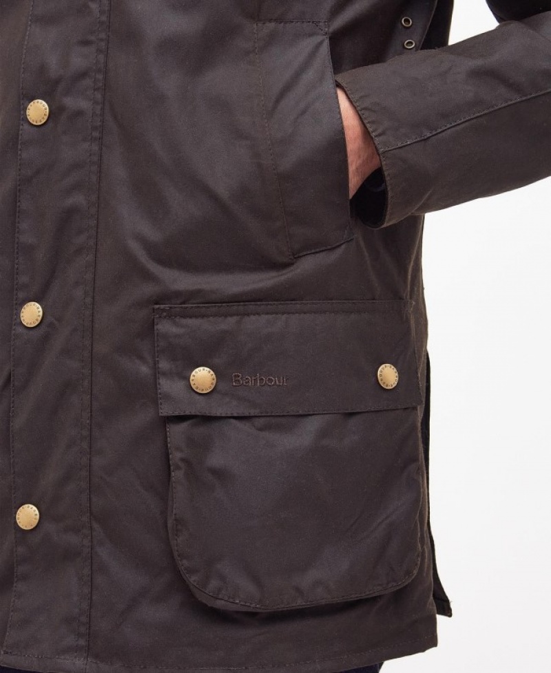 Barbour Ashby Masline Verzi | EONL9044