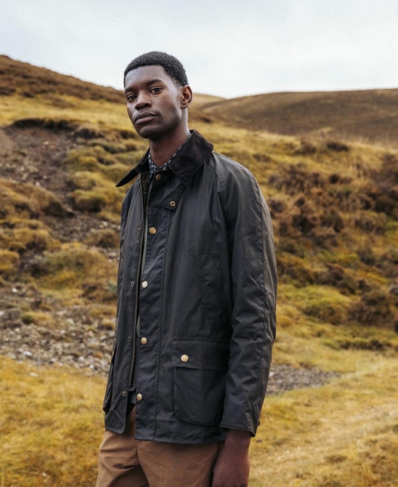 Barbour Ashby Masline Verzi | EONL9044