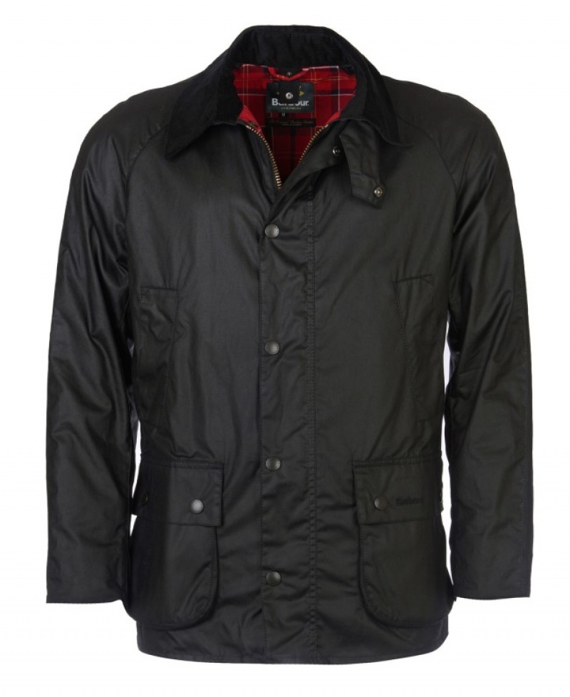Barbour Ashby Negrii | HZJI1633