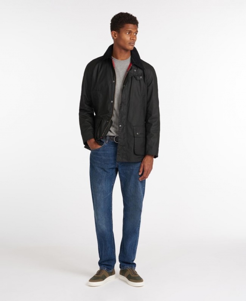 Barbour Ashby Negrii | HZJI1633