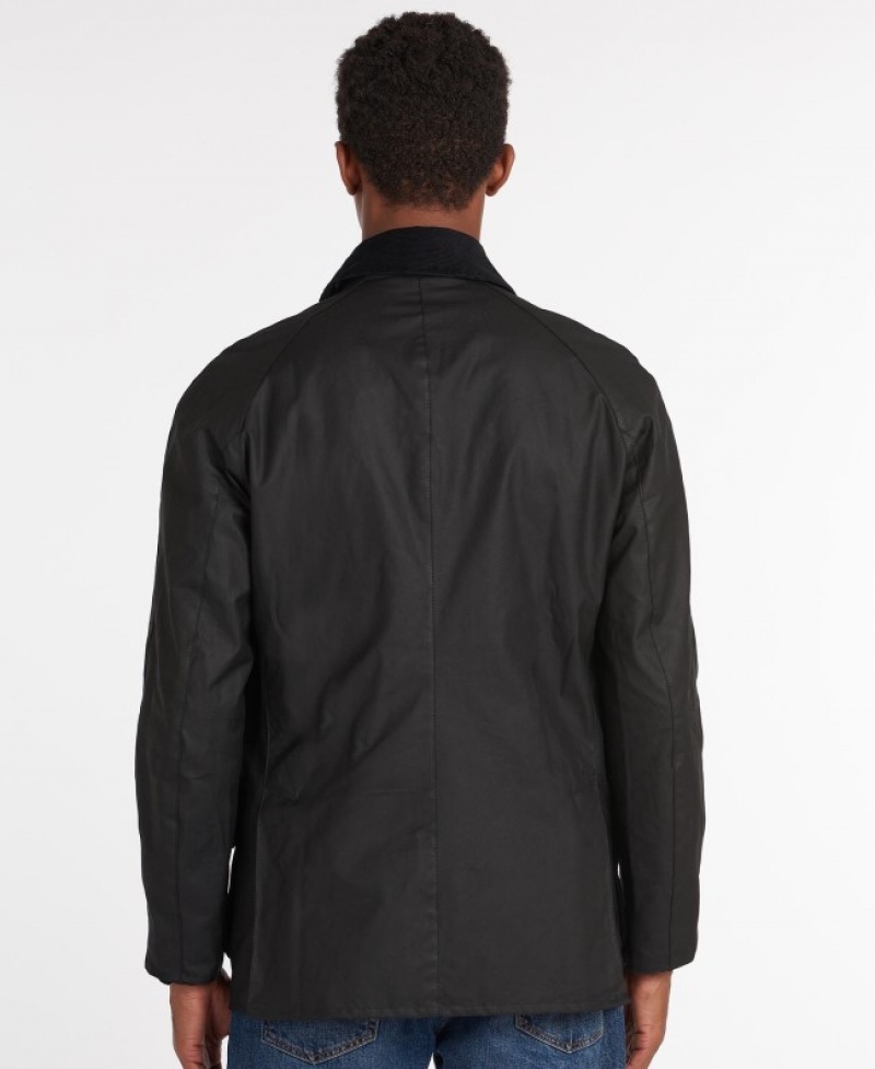 Barbour Ashby Negrii | HZJI1633