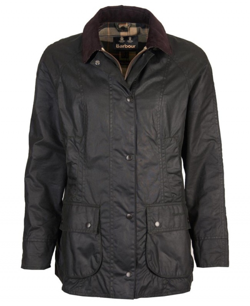 Barbour Beadnell Negrii | VQNN8268