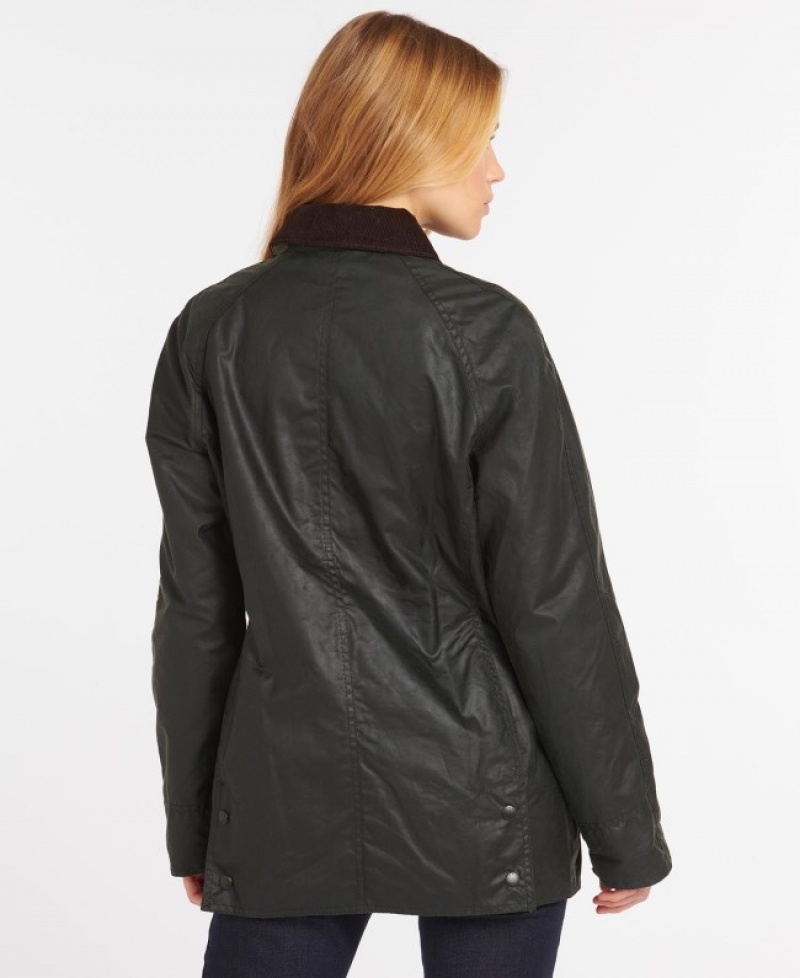 Barbour Beadnell Negrii | VQNN8268