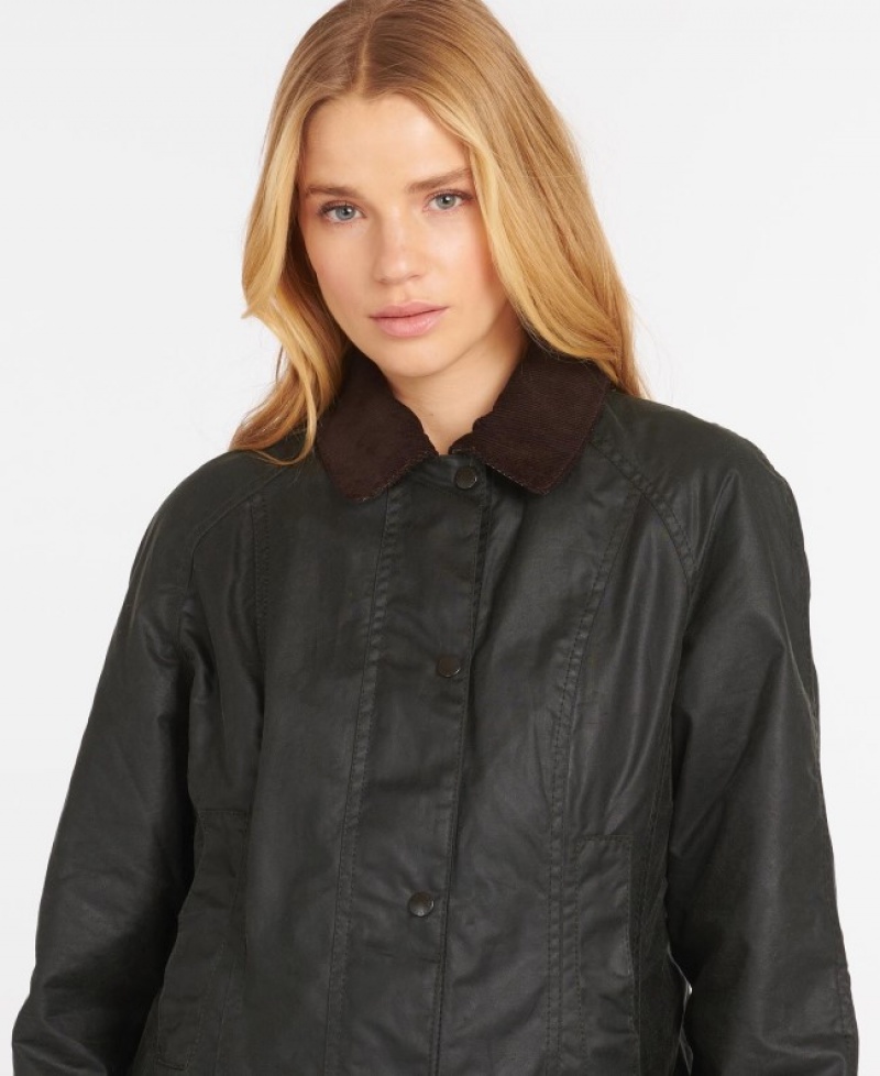 Barbour Beadnell Negrii | VQNN8268