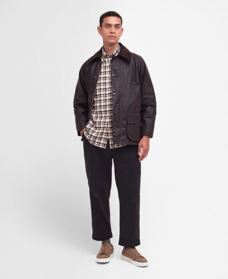 Barbour Bedale Ciocolata | FPCT7468
