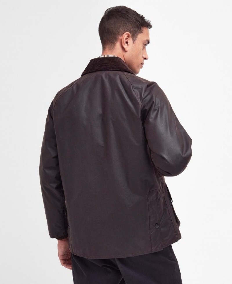 Barbour Bedale Ciocolata | FPCT7468