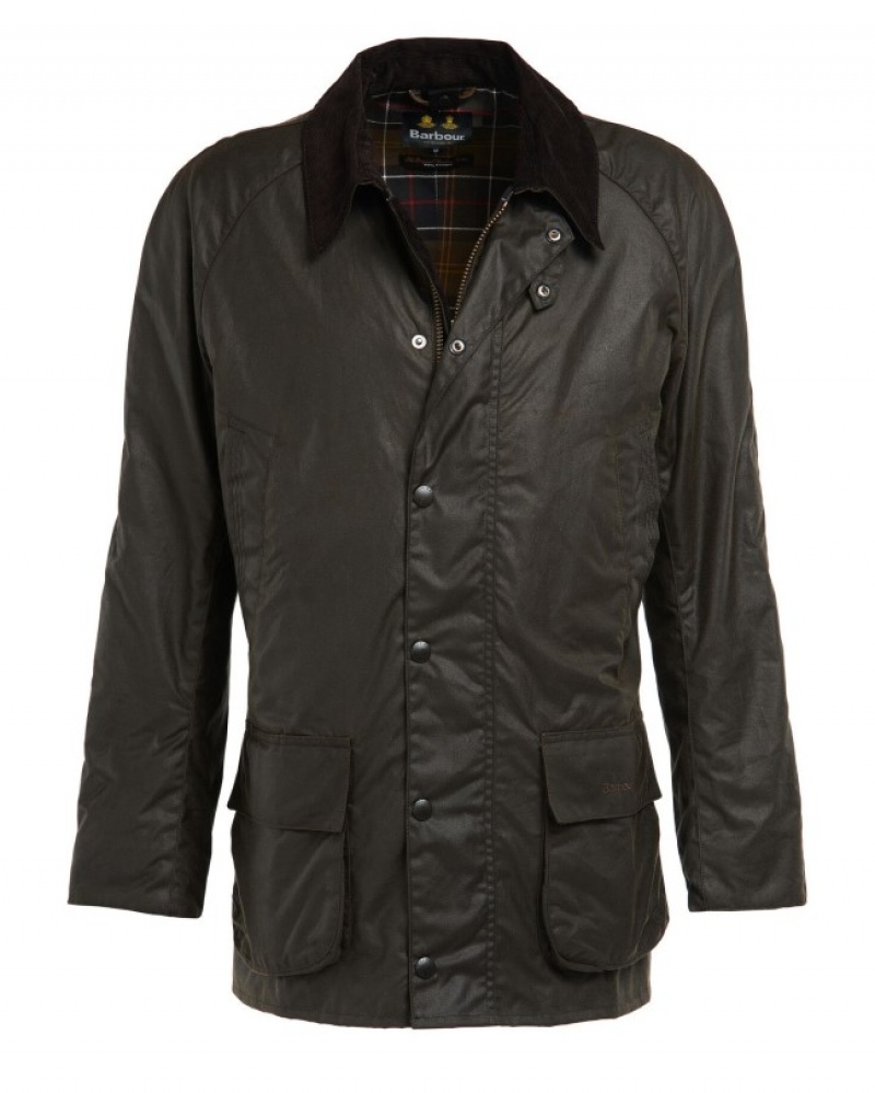 Barbour Bristol Masline Verzi | XFDS3317