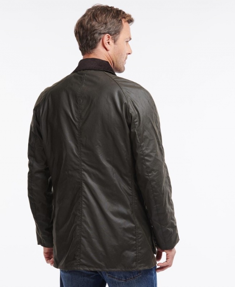 Barbour Bristol Masline Verzi | XFDS3317