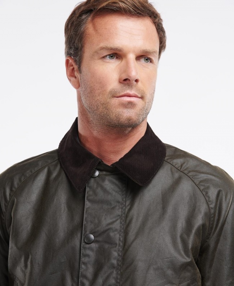 Barbour Bristol Masline Verzi | XFDS3317