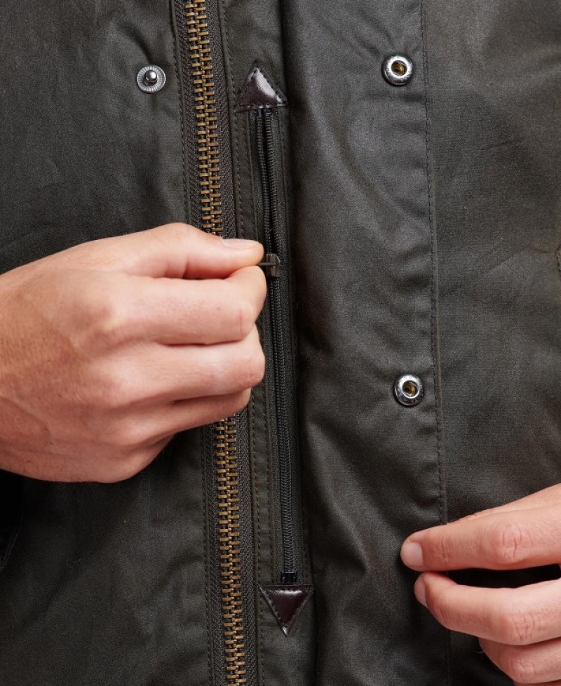 Barbour Bristol Masline Verzi | XFDS3317