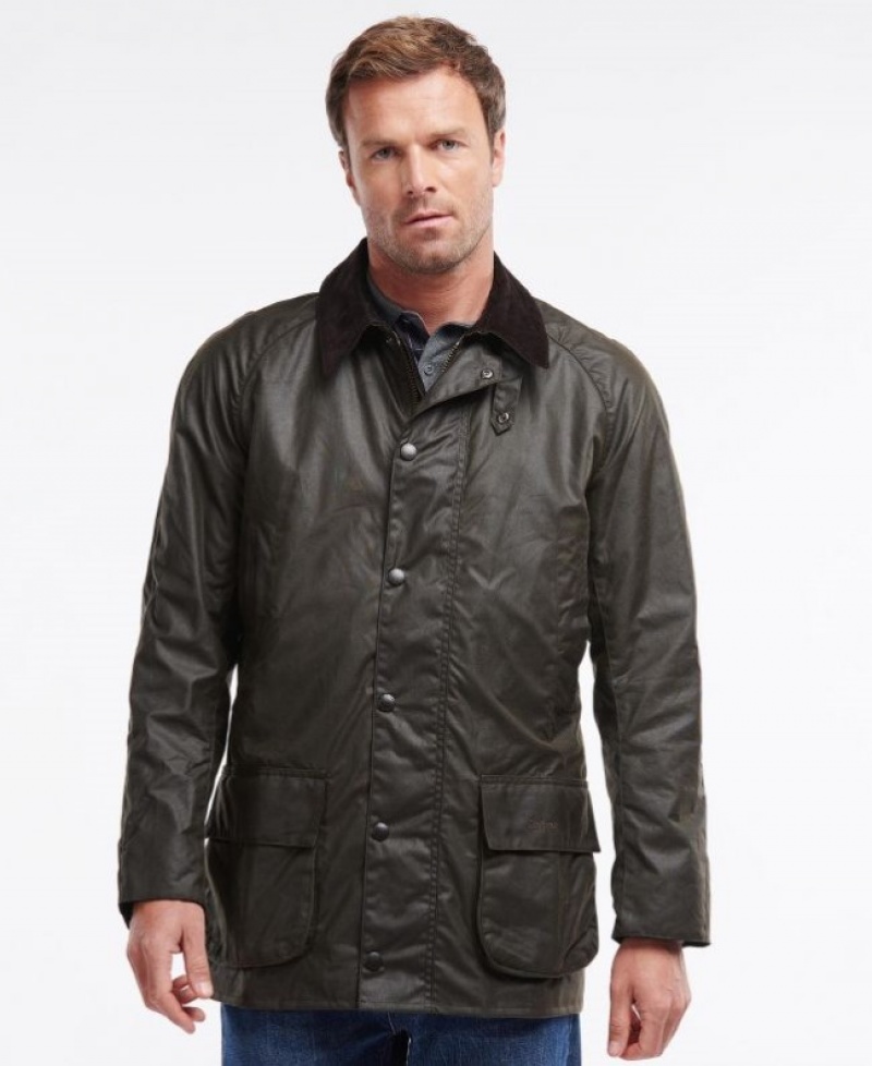 Barbour Bristol Masline Verzi | XFDS3317
