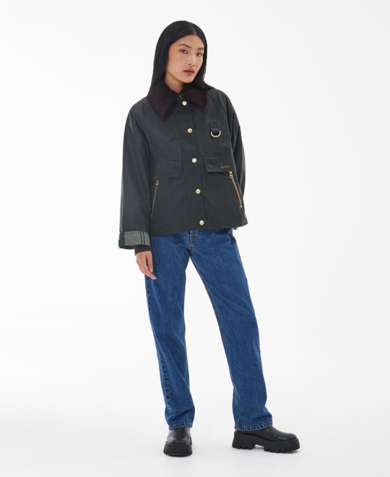 Barbour Catton Spey Verzi | JHKL8675