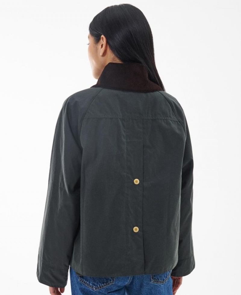 Barbour Catton Spey Verzi | JHKL8675