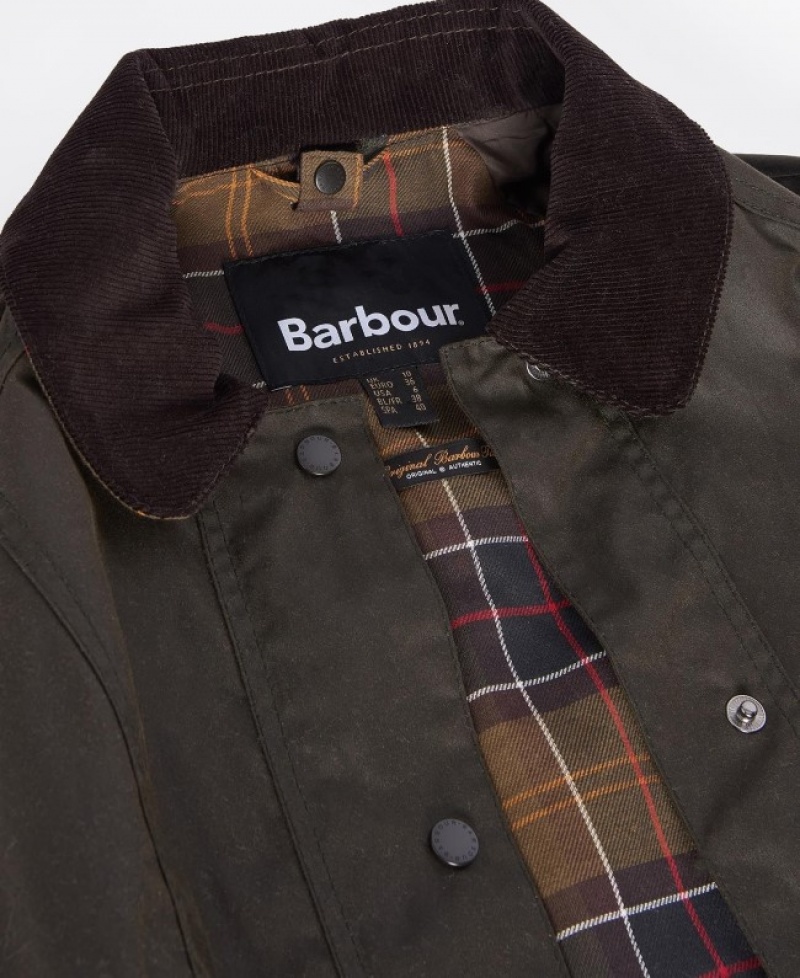 Barbour Clasici Beadnell Masline Verzi | RWLS8755