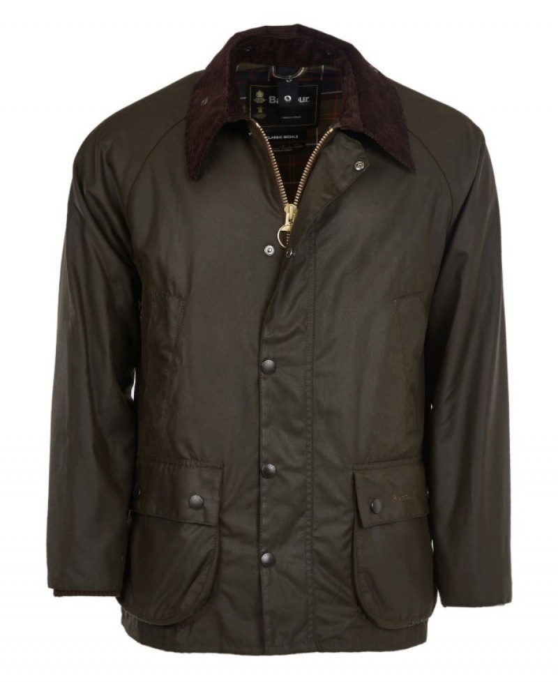 Barbour Clasici Bedale Masline Verzi | YCSA4200