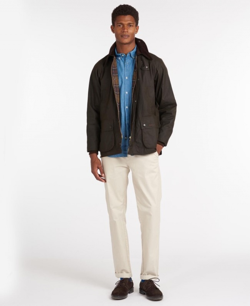 Barbour Clasici Bedale Masline Verzi | YCSA4200