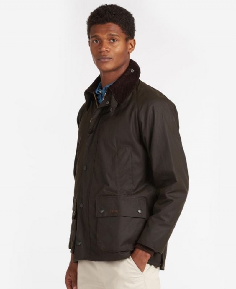 Barbour Clasici Bedale Masline Verzi | YCSA4200