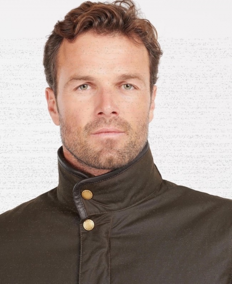 Barbour Hereford Verzi | PVBO7383