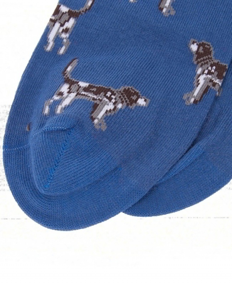 Barbour Pointer Albastri | GBFE2490