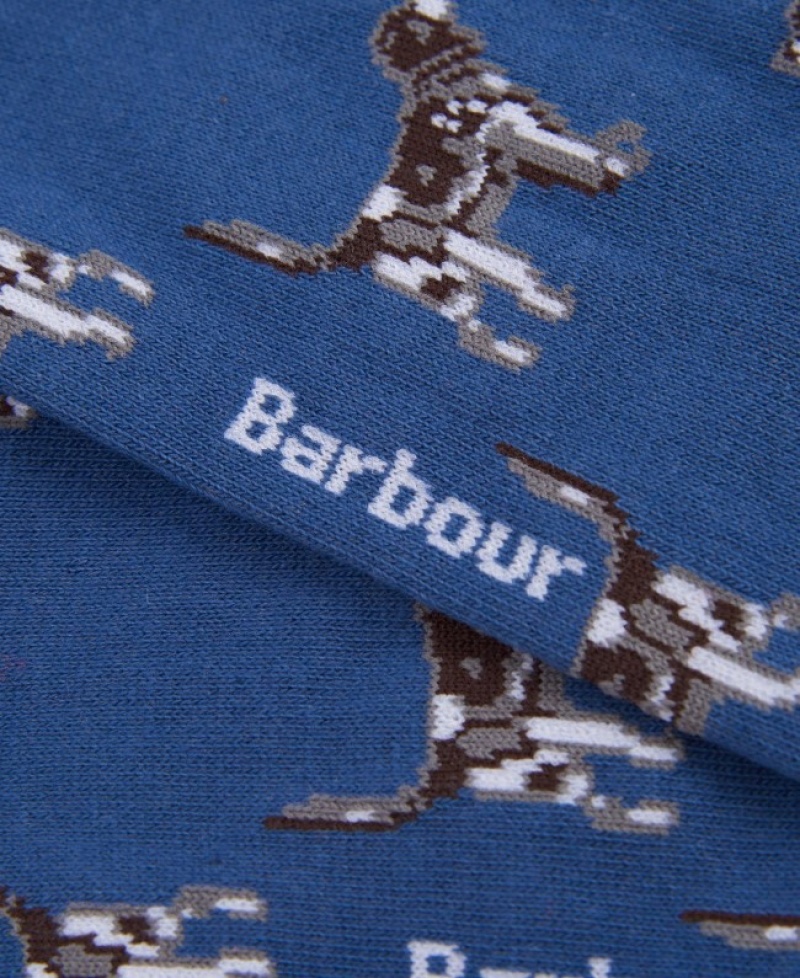 Barbour Pointer Albastri | GBFE2490