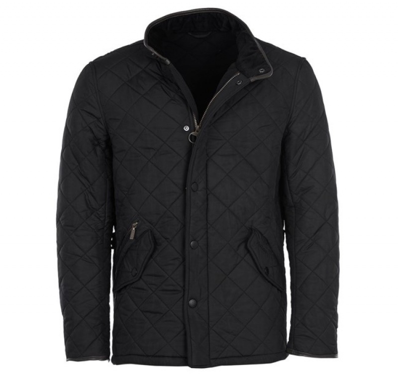 Barbour Powell Negrii | CRHA4205