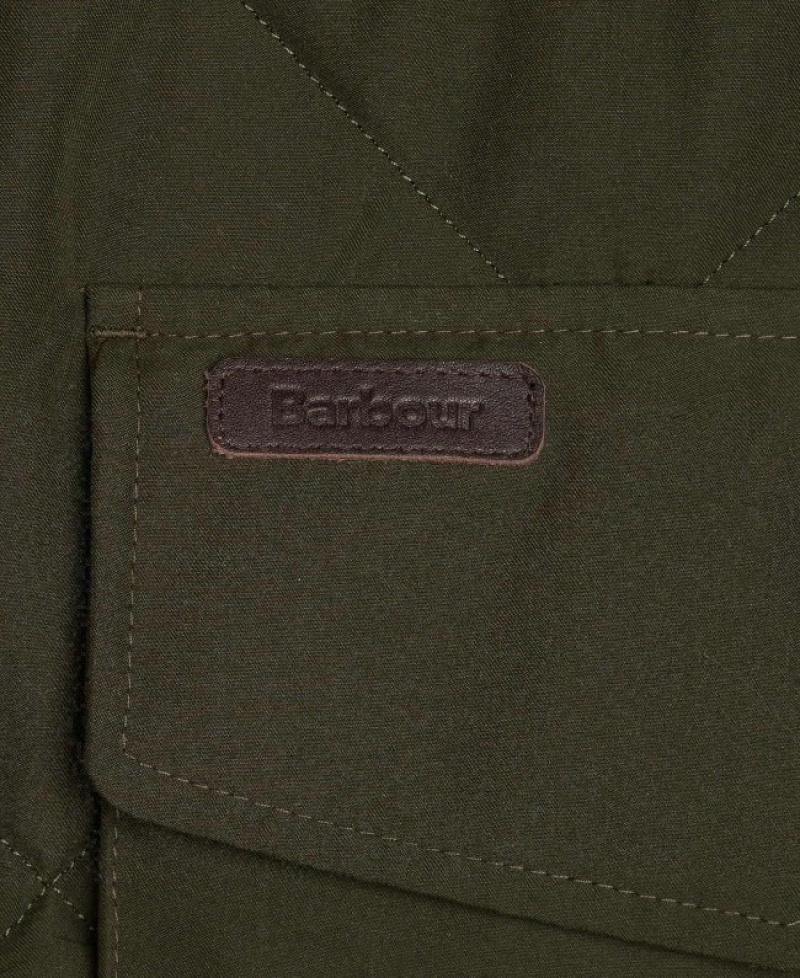 Barbour Winterdale Gilet Masline Verzi | PORQ7851